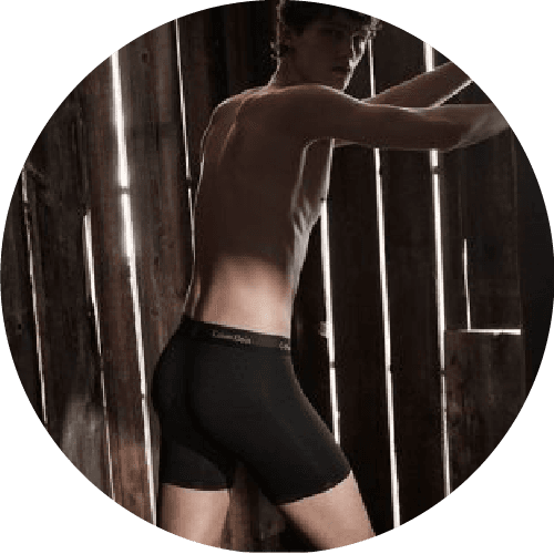 briefs